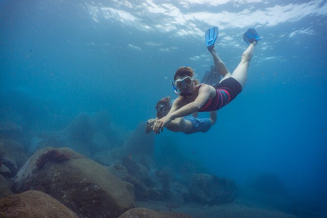 Funchal: Snorkeling Adventure in Eco-Park / Shore or by Boat - Key highlights worth knowing