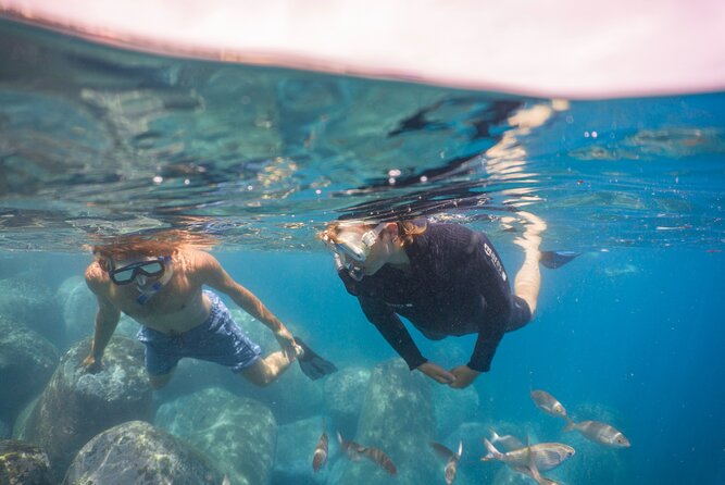 Funchal: Snorkeling Adventure in Eco-Park / Shore or by Boat - The lesson and briefing that make the 2 hours feel easy