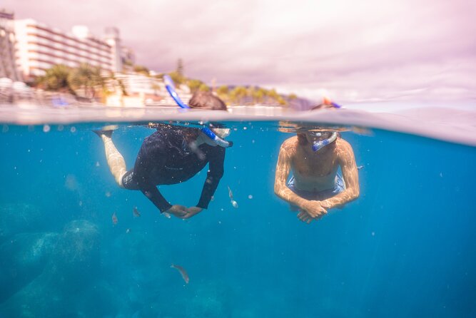 Funchal: Snorkeling Adventure in Eco-Park / Shore or by Boat - What you actually do during your 2-hour snorkel window