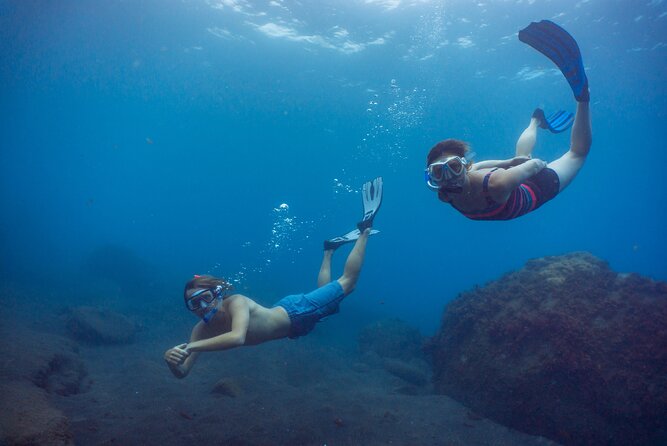 Funchal: Snorkeling Adventure in Eco-Park / Shore or by Boat - Weather and sea conditions: why swapping days can happen