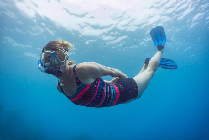 Funchal: Snorkeling Adventure in Eco-Park / Shore or by Boat - Views from below: cliffs, water color, and photos that actually work