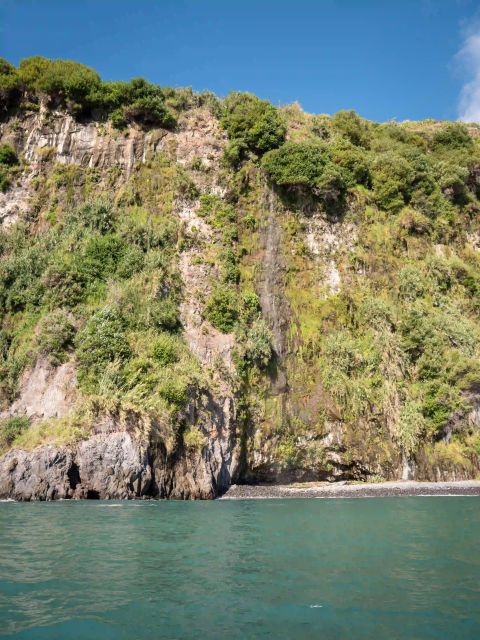 Funchal: Speedboat SEE THE ISLAND AND LIFE AT SEA - Who This Tour Fits Best in Madeira