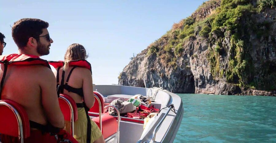 Funchal: Speedboat SEE THE ISLAND AND LIFE AT SEA - Speedboat Speed, Sea Life Chances, and Real Ocean Air