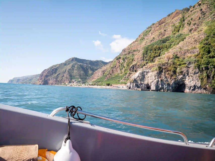 Funchal: Speedboat SEE THE ISLAND AND LIFE AT SEA - What You Do on the Water in 2.5 Hours