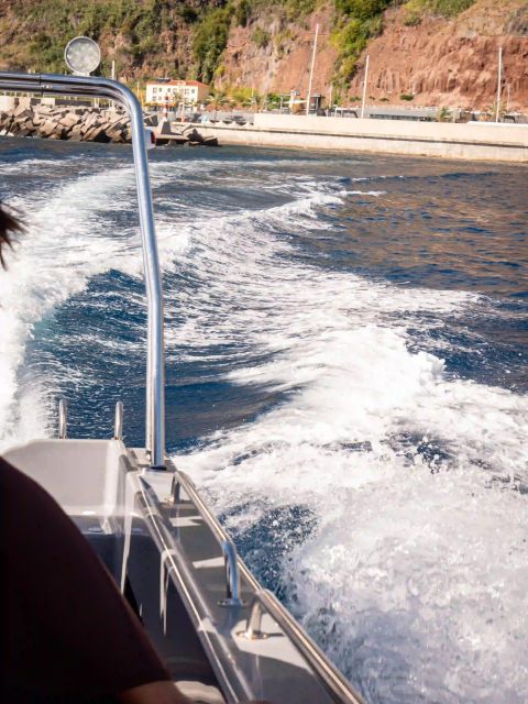 Funchal: Speedboat SEE THE ISLAND AND LIFE AT SEA - Cruising Madeira’s Cliffs and Coves Up Close
