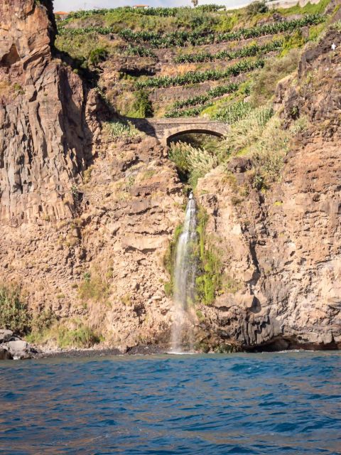 Funchal: Speedboat SEE THE ISLAND AND LIFE AT SEA - Eco-Friendly Promises and Marine-Life Reality
