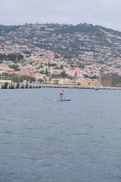 Funchal: Standup Paddle - Coastal Views and Marine Life From a Low, Quiet Perspective