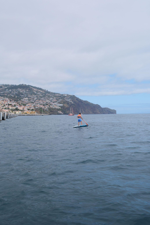 Funchal: Standup Paddle - Who This Standup Paddle in Funchal Suits Best