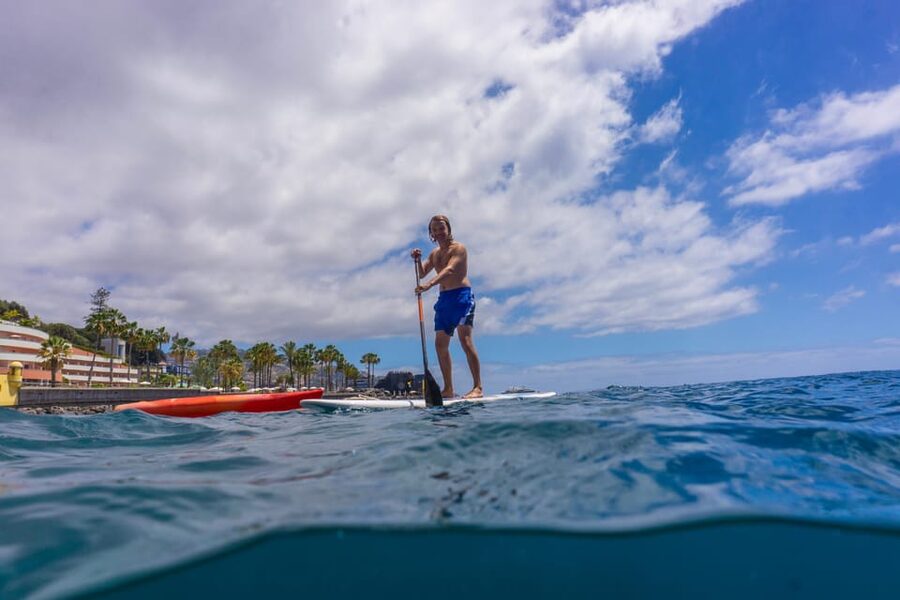 Funchal: SUP Rental or Guided tour with snorkeling - Where the experience starts at Pestana Carlton sea level