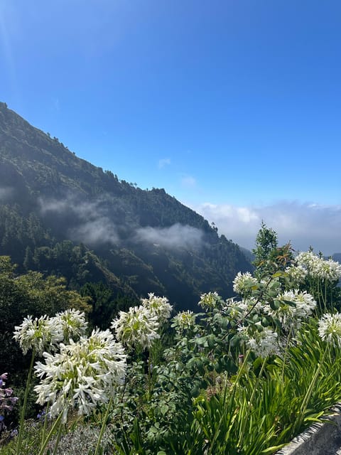 Funchal: Valley of the Nun’s tour by tuk tuk - Key Highlights You Will Care About