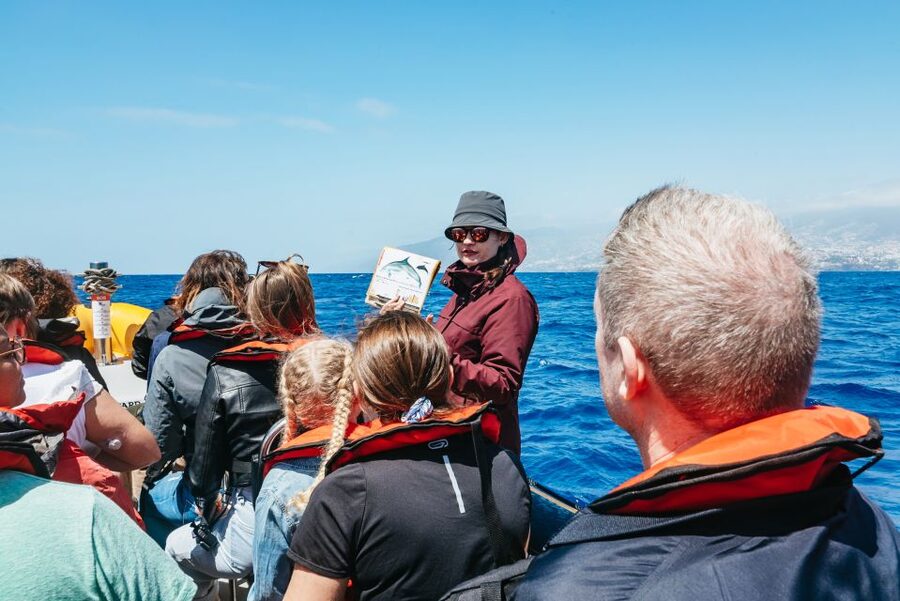 Funchal: Whale and Dolphin Watching Speed Boat Tour - Key points that make this tour worth your attention