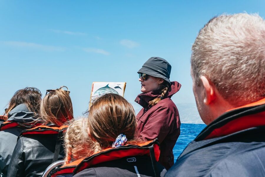 Funchal: Whale and Dolphin Watching Speed Boat Tour - Should you book this Whale and Dolphin Watching Speed Boat Tour?