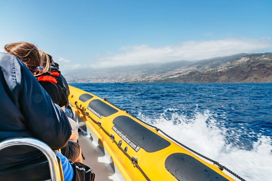 Funchal: Whale and Dolphin Watching Speed Boat Tour - The 2.5-hour rhythm: what happens once you hit open water