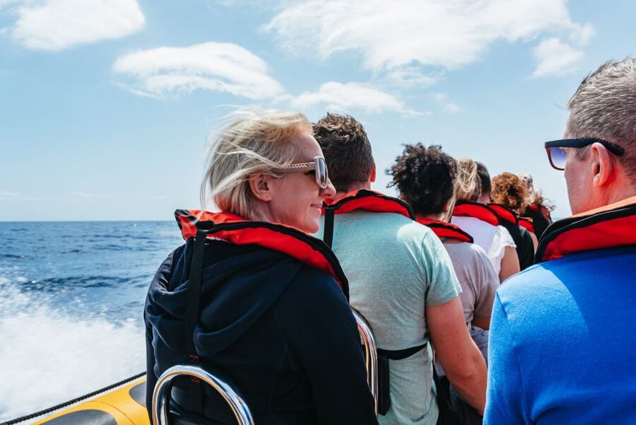 Funchal: Whale and Dolphin Watching Speed Boat Tour - Comfort, safety, and the practical packing list