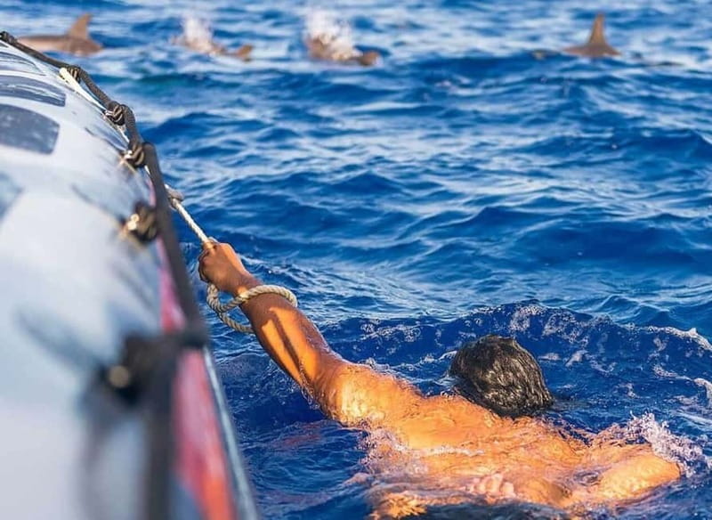 Funchal: Whale Watching and Swimming with Dolphins Cruise - Meeting at Rota dos Cetáceos: Where the Tour Starts in Funchal