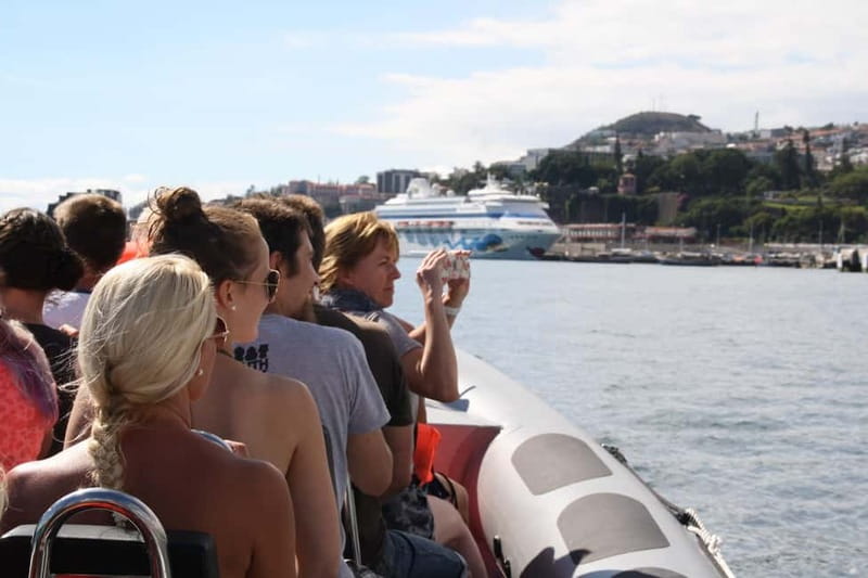 Funchal: Whale Watching and Swimming with Dolphins Cruise - The Whale Watching Phase: How You Spend 2.5 Hours at Sea