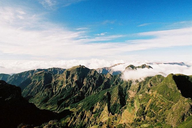 Grand Madeira Island Tour - Porto Moniz and Santana - Price, group size, and what you’re paying for