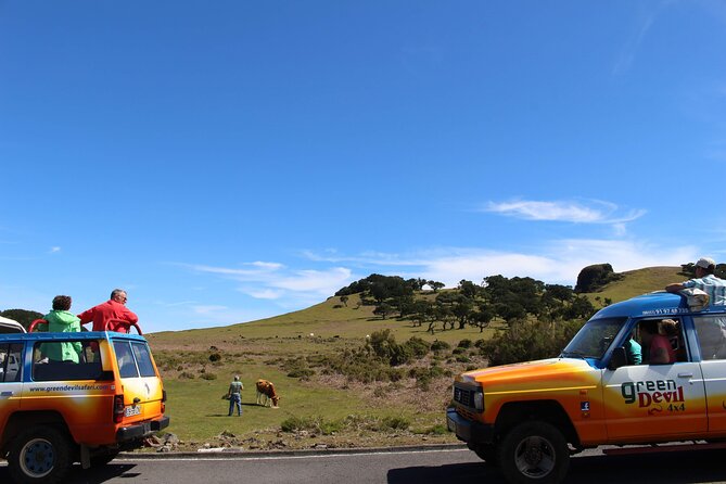 Guided Exploration of Southwest Madeira in a 4x4 - Rabacal and Prazeres: from forested paths to terraced gardens