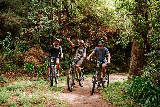 Guided Tour Electric Mountain Bike Experience - Key things to know before you ride