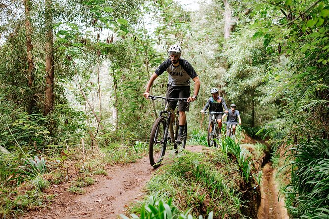 Guided Tour Electric Mountain Bike Experience - Santo da Serra section: dirt roads, paths, and a calmer start