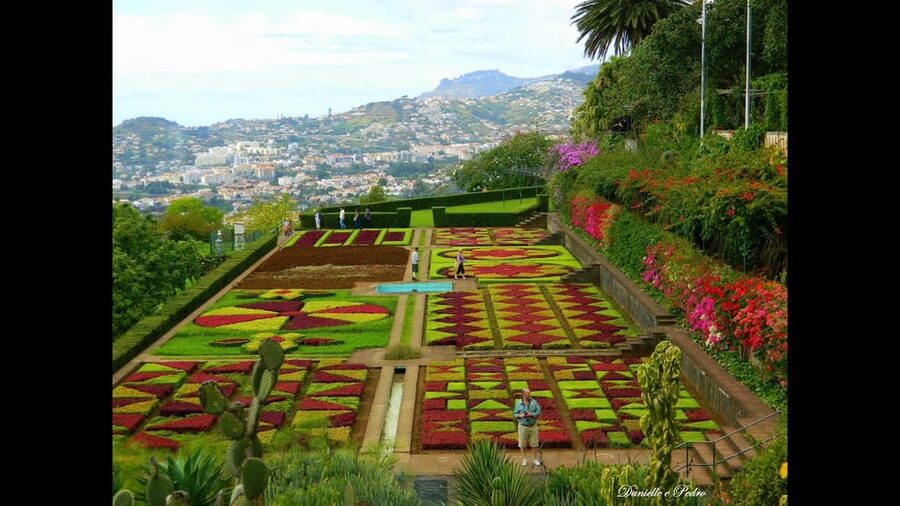Guided Tuk-Tuk Tour to Botanical Garden (From Funchal) - Key things to know before you go