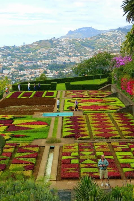 Guided Tuk-Tuk Tour to Botanical Garden (From Funchal) - A one-hour way to connect Funchal to the Botanical Garden