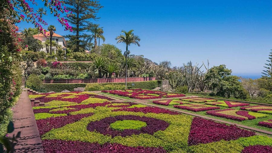 Guided Tuk-Tuk Tour to Botanical Garden (From Funchal) - Panoramic drive: Funchal, the bay, and quick orientation