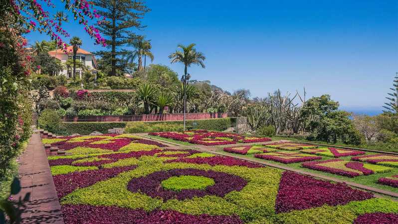 Guided Tuk-Tuk Tour to Botanical Garden (From Funchal) - How the timing and route work from Avenida do Mar