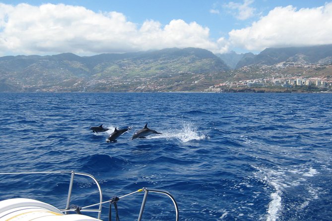 Half-day Catamaran Trip from Funchal - Snorkeling Gear Included, Cash Deposit, and Your Best Prep