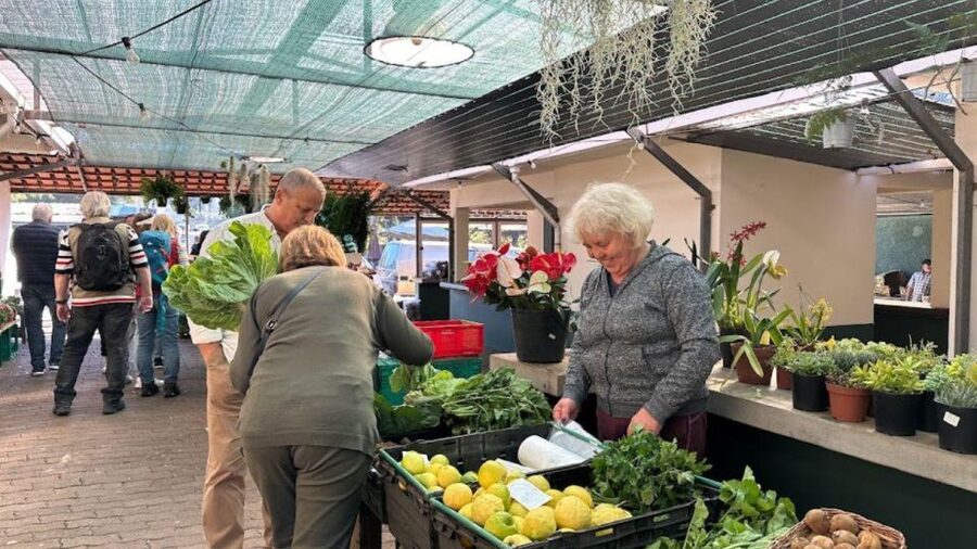 Half-Day Country Market Tour on Madeira Island - A four-hour Madeira market loop that feels like real life