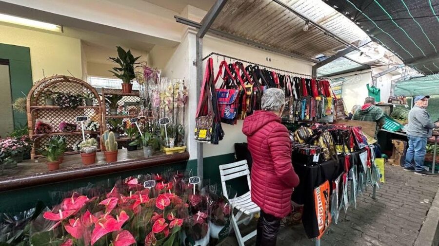 Half-Day Country Market Tour on Madeira Island - Santo da Serra agricultural market: food, drinks, and local rhythm