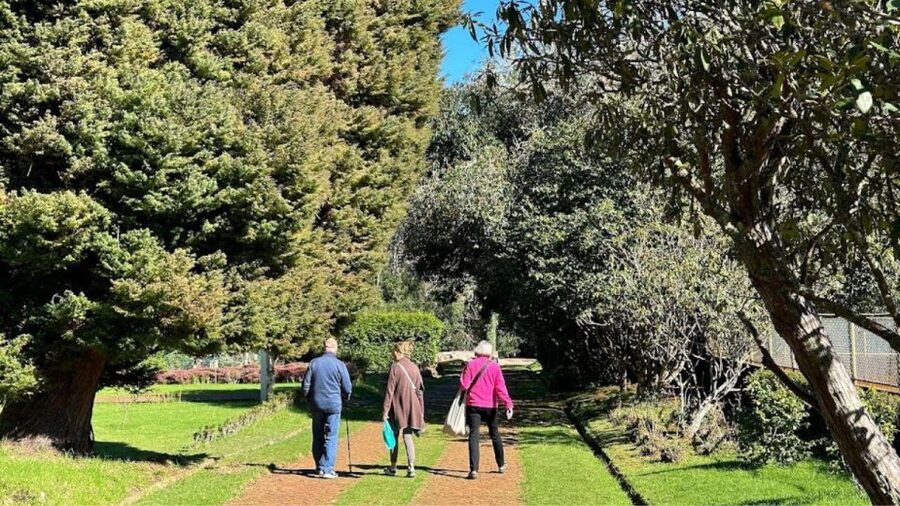 Half-Day Country Market Tour on Madeira Island - What makes it good value: guide, transport, and the right pacing