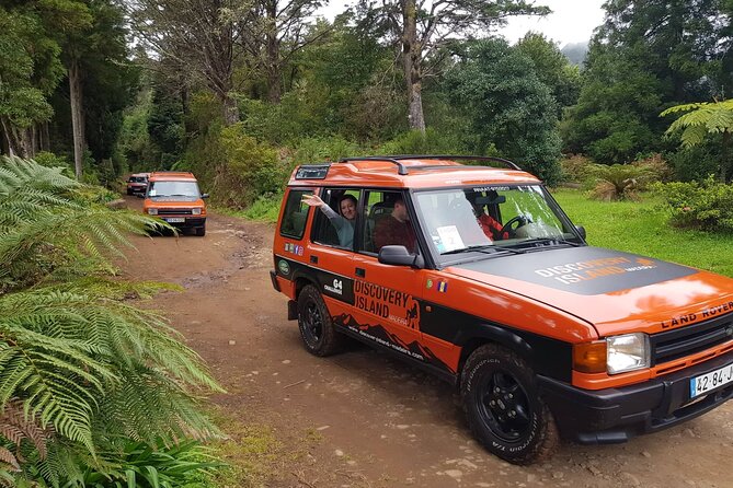 Half Day Jeep Safari Tour at Pico Areeiro and Santo da Serra - Guides matter more than you’d think on a route like this