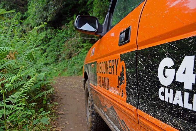 Half Day Jeep Safari Tour at Pico Areeiro and Santo da Serra - Price and value: what you’re paying for at $54.13