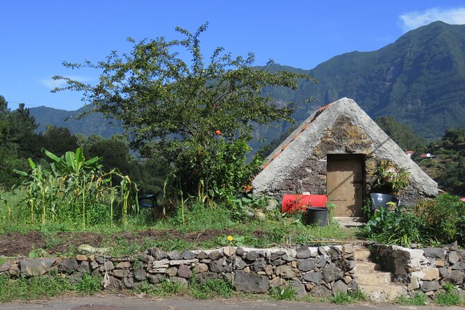 Half day jeep Wine tour and tasting, & sea cliff adventure - Quinta do Barbusano: wine tasting that can be the main event