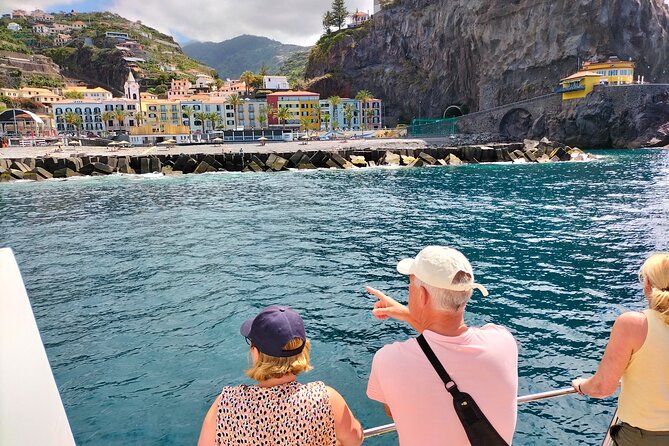 Half Day Madeira Island Cruise with Lunch - Wildlife spotting: dolphins, turtles, and whale spouts (what to plan for)
