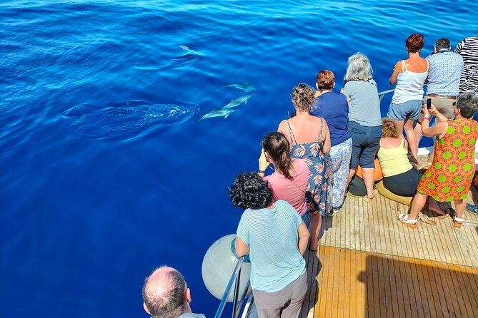 Half Day Madeira Island Cruise with Lunch - Comfort on the water: indoor and outdoor space that actually helps