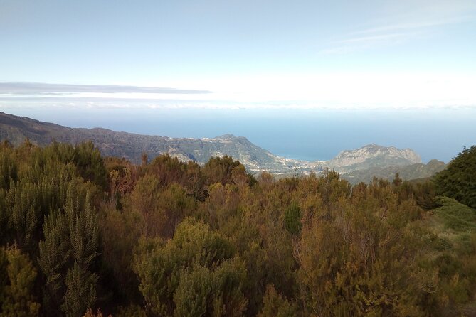 Half-Day Private Sidecar Tour on Madeira’s West Coast - Calheta and the golden sand plus a quick rhum factory stop