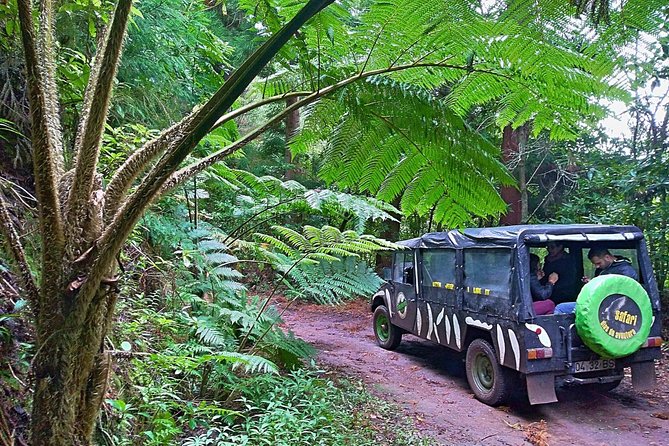 Half-Day Small-Group Madeira Village Safari from Funchal - Why This Half-Day Safari Works Even If You Hate Big Tours