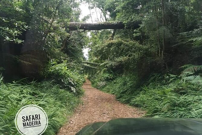 Half-Day Small-Group Madeira Village Safari from Funchal - Meet at Funchal, Then Roll Out in a Small-Group Open-Top Jeep