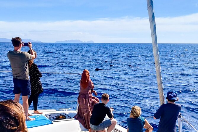 Half Day Tour on a Luxury Catamaran on Madeira Island - Price and Value: Is About $48 for 3 Hours Actually Good?