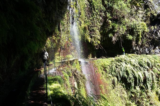 Hike in Laurisilva Levada do Rei - Madre of Life small Group guided walk - Levada do Rei in Laurisilva: Why This Hike Feels Worth Your Time