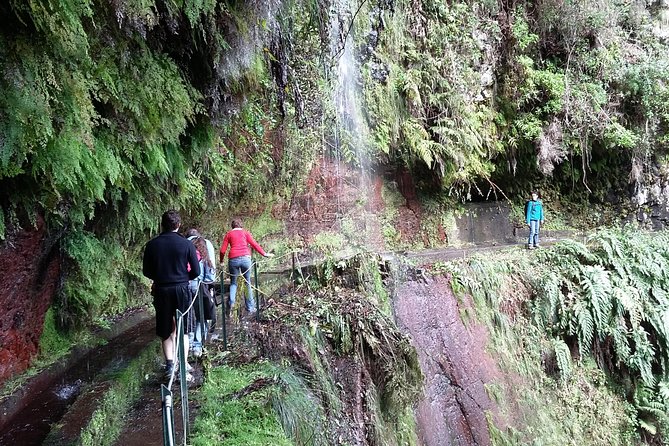 Hike in Laurisilva Levada do Rei - Madre of Life small Group guided walk - Meet Your Guides: Local Color Plus Mountain-Guide Support