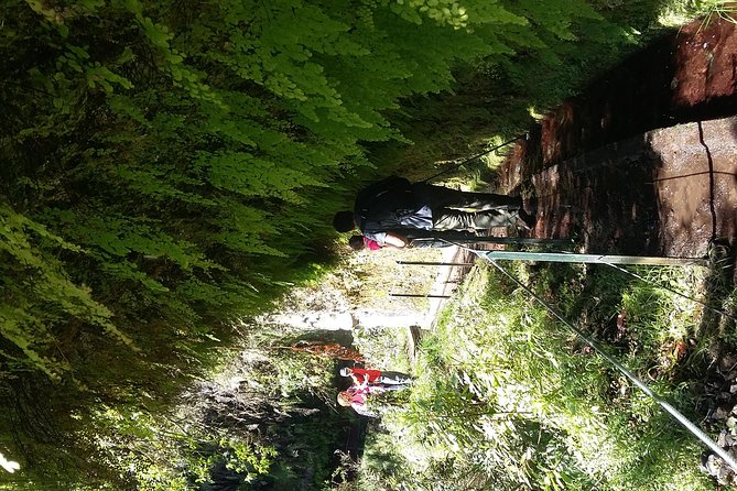Hike in Laurisilva Levada do Rei - Madre of Life small Group guided walk - Weather, Clothing, and What to Do With a Wet Madeira Day