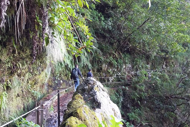 Hike in Laurisilva Levada do Rei - Madre of Life small Group guided walk - Price and Value: What You Pay for, and What Costs Extra