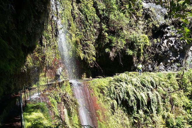 Hike in Laurisilva Levada do Rei - Madre of Life small Group guided walk - What You Actually Get at Levada Do Rei (And How to Enjoy It)