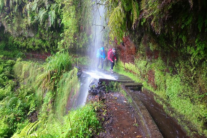Hike in Laurisilva Levada do Rei - Madre of Life small Group guided walk - Your Day’s Flow: 4 Hours on Levada do Rei Inside a 7 to 8 Hour Hike