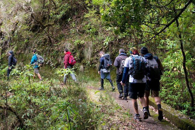 Hiking and Trekking tours in Madeira - Key Highlights You’ll Feel Right Away
