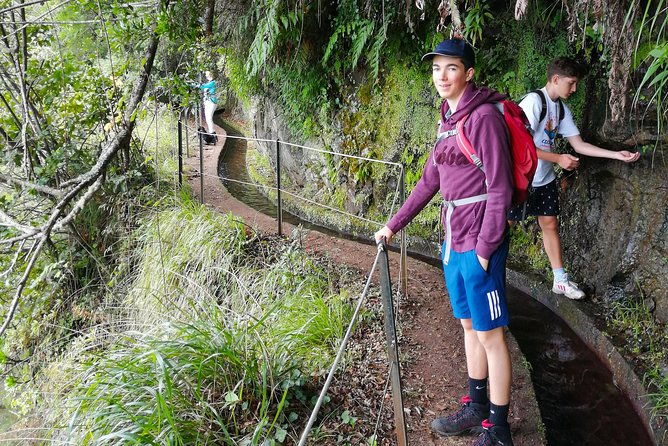 Hiking and Trekking tours in Madeira - Why This Madeira Levada Hike Works as a First Adventure