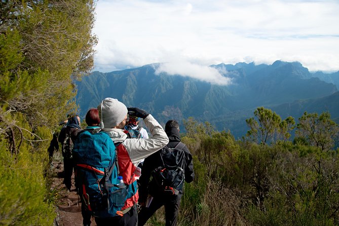Hiking and Trekking tours in Madeira - How a Levadas Trail Hike Feels on the Ground